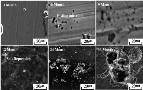 Figura 2 – Micrografias eletrônicas de varredura (SEM) da superfície do aço inoxidável 304 após exposição em ambiente industrial-marinho-urbano (IMU) por períodos de até 36 meses.
