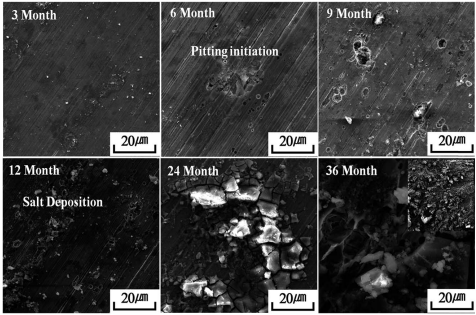 Figura 1 – Micrografias eletrônicas de varredura (SEM) da superfície do aço inoxidável 316L após exposição em ambiente industrial-marinho-urbano (IMU) por períodos de até 36 meses.